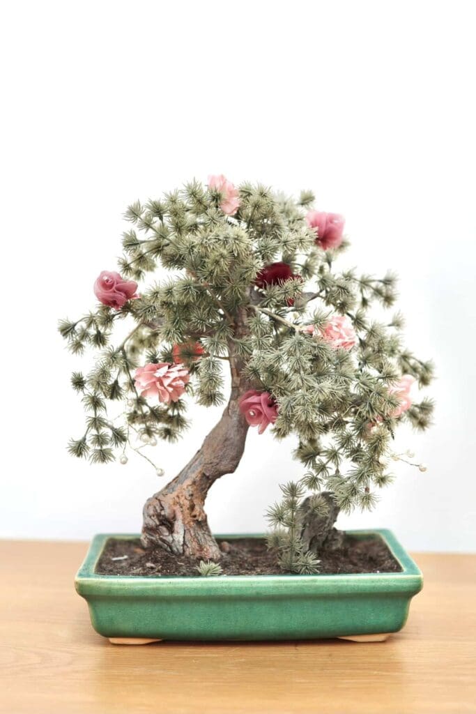 serene floral design florist in st louis